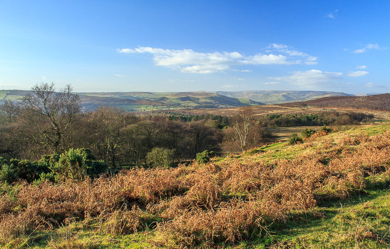 Offerton Moor